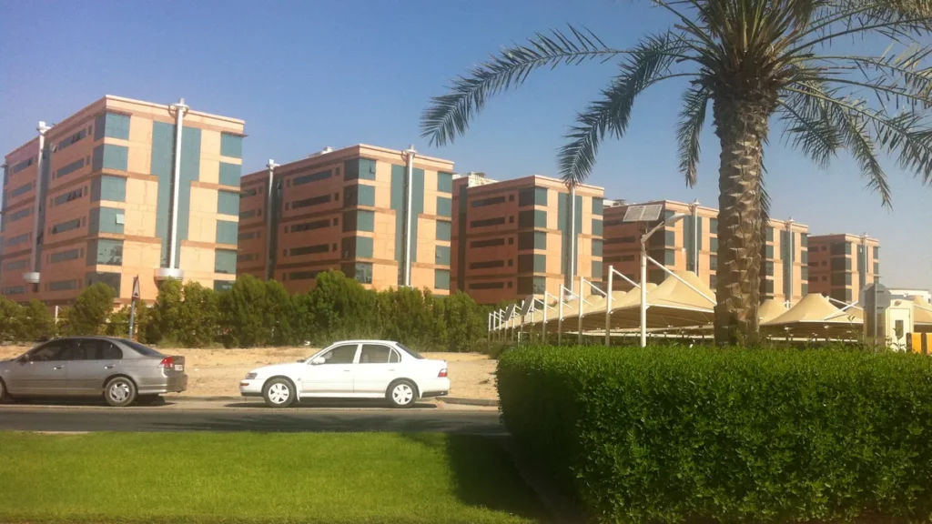 Корпуса Dubai International Academic City с пальмами вдоль дороги