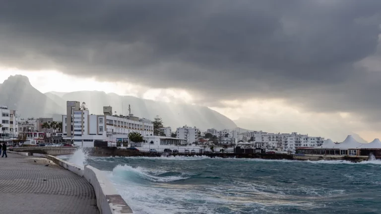 Кирения — город, где находится University of Kyrenia Кирения — город, где находится University of Kyrenia