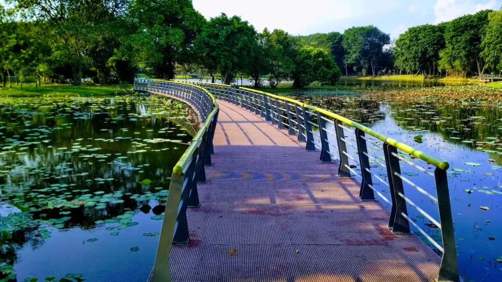Сайберджая — город, где находится University of Cyberjaya
