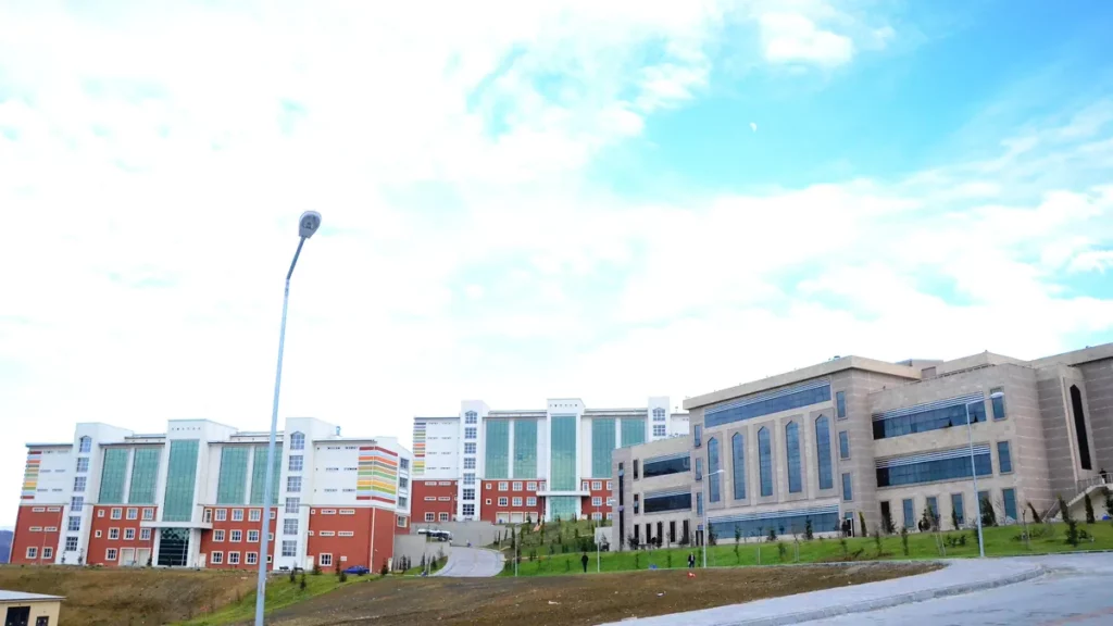 Университет Бартына (Bartın Üniversitesi), Бартын