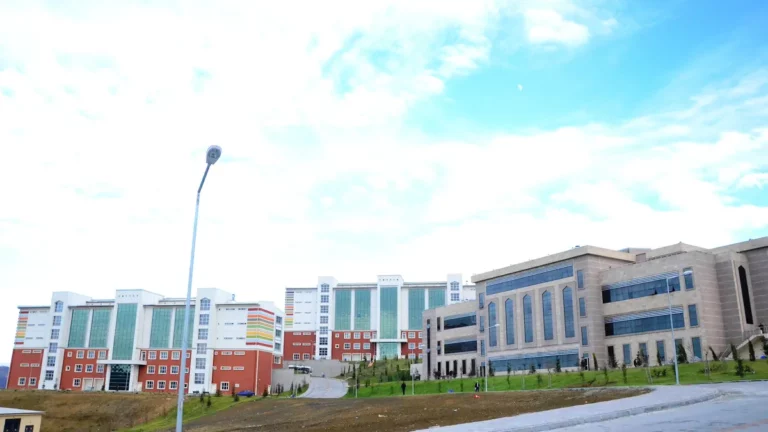 Университет Бартына (Bartın Üniversitesi), Бартын Университет Бартына (Bartın Üniversitesi), Бартын