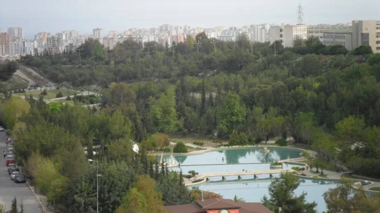 Университет Мерсина (Mersin Üniversitesi), Мерсин Университет Мерсина (Mersin Üniversitesi), Мерсин